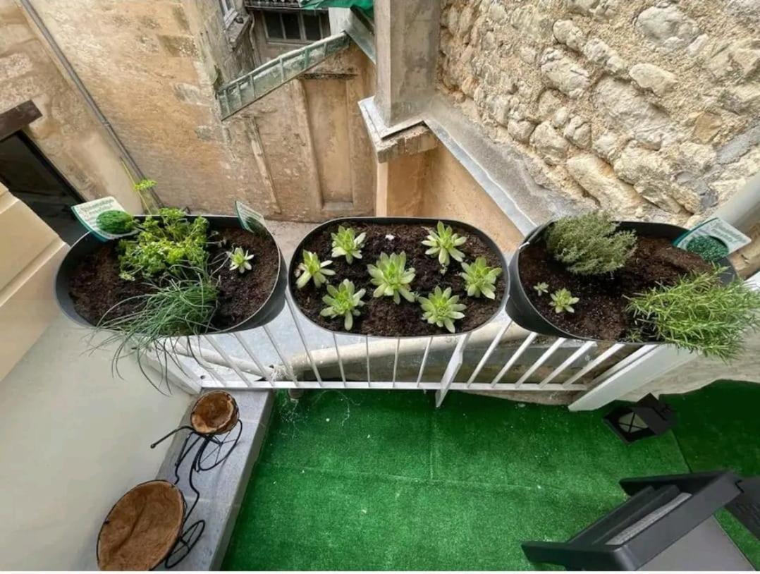 Apartment Le Petit Poitevin -hyper Centre - Wi-fi- Netflix Gratuit Niort